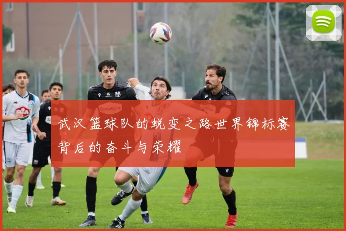 武汉篮球队的蜕变之路世界锦标赛背后的奋斗与荣耀