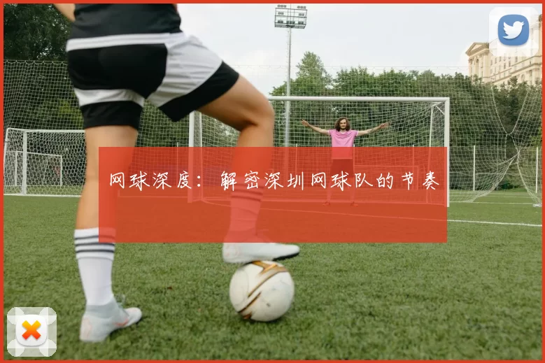 网球深度：解密深圳网球队的节奏